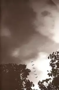 (C76) [MTD (Rei)] Sukoshi Dake Wagamama Ii Desu ka? | Can I be just a little bit more selfish? (Natsume's Book of Friends) [English] [Sugar Parade]