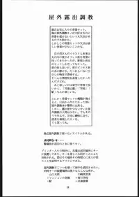 (C48) [Sae (Various)] Sae Superdry II (Cat's Eye)