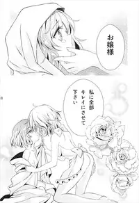 (C92) [Mikenekotei (Mike)] Toumei Ningen ni Natta no de, Itazura Shi ni Iku Hanashi. (Touhou Project)