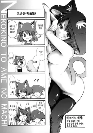 Nekokino to Ame no Machi