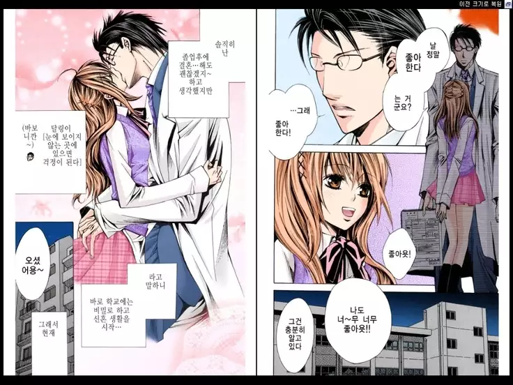 Naisho no Love Mariage | 비밀의 결혼