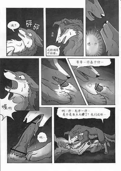 Rio and Rossi | Rio和Rossi