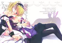 (SC65) [Singleton (Azuma Yuki)] Sharo to Rize no Himitsu no Lesson (Gochuumon wa Usagi desu ka?) [Chinese] [无毒汉化组]