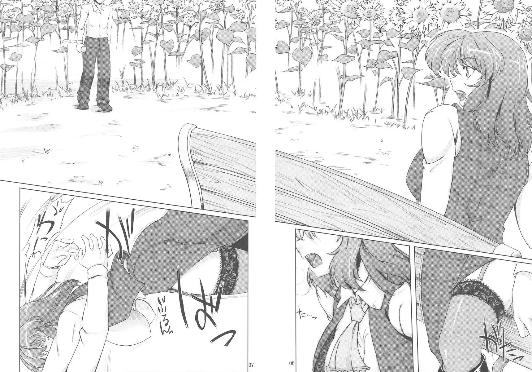 On the Sunny Field Afterward