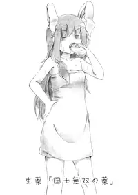 [YasunaoZ (Yasunao)] Touhou Nyuuyokufu (Touhou Project) [Digital]