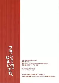 (C80) [MeltdoWN COmet (Yukiu Con)] Flan no Kuse ni Namaikida. (Touhou Project)