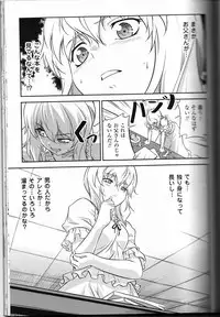 (C81) [CDPA (Various)] CROSS MAKE 2011 WINTER (Freezing)