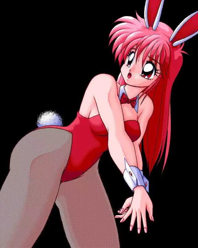 Sailor Bunny Gashuu Sono Ichi