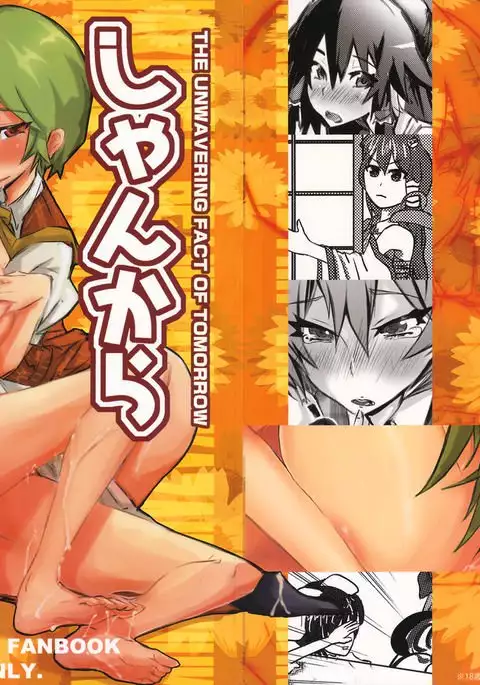 Shankara - The Unwavering Fact of Tomorrow