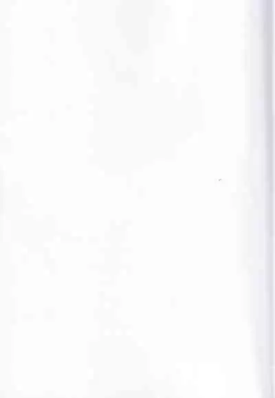 tousaku syojo 2bansenji