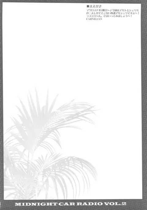 Midnight Car Radio 2