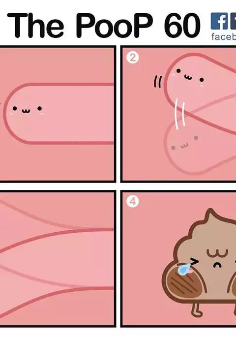 What the PooP