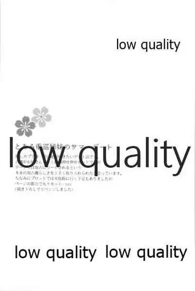 追憶の海の向こうで