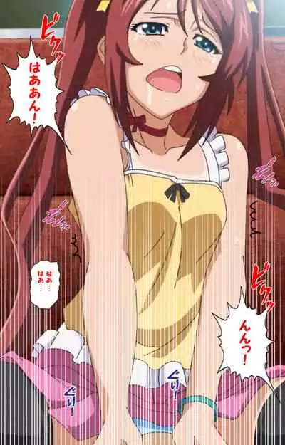 Hitou Meguri kakure yu kanzenhan