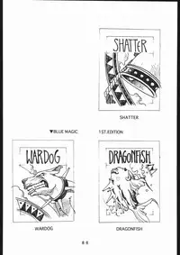 (一般画集) [TOPCAT] 書籍 [ぼうのうと 原画集 サークルぼうのうと] ZAP! THE MAGIC 原画集