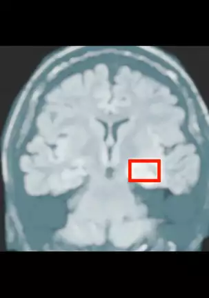 Gifu ni Okasare Yoku ni Nagasare