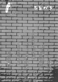 (Futaket 8.5) [Sekitan Bukuro (Fey Tas)] P-TYPE (Touhou Project)