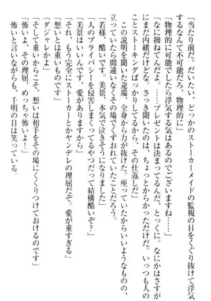 年上メイドの新婚日記