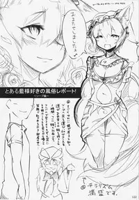 (C84) [Hinaprin, Kitsunenomori (Various)] Dairansai (Touhou Project)