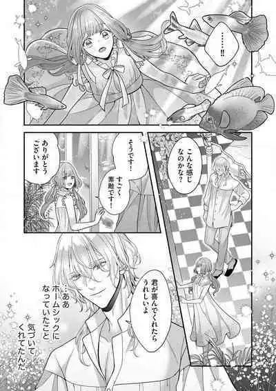 Nene to Ikoku no Mahoutsukai Isekai ni Shoukan Sareta to Omottara, Naze ka Koneko to shite Aigan Saretemasu 1-5