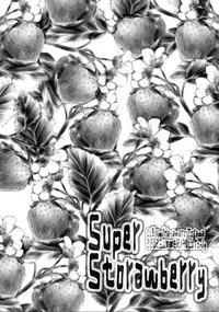 (C62) [C.Bjim (Togawa Hanamaru, Tamanoi Iroha)] Super Storawberry (Utawarerumono, Chobits)