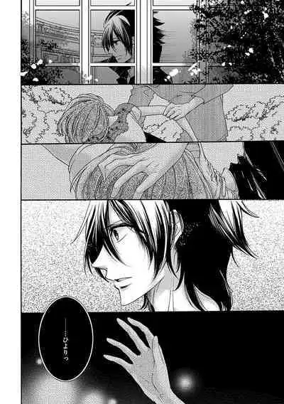 鬼畜兄弟の悶絶調教～私はいいなり奴隷～