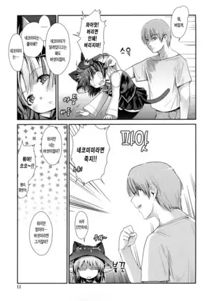 Nekokino to Ame no Machi