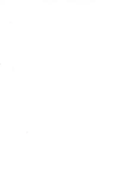 Speed Star no Yuuutsu