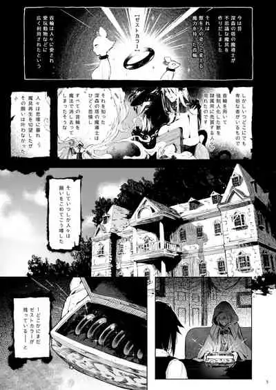 Current Storage Collection 1