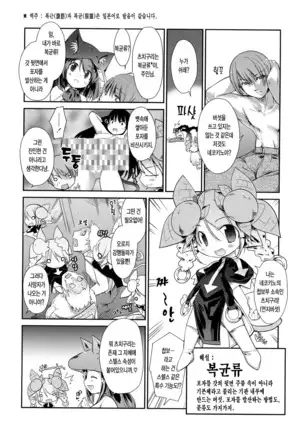 Nekokino to Ame no Machi