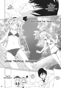 (C85) [Akari wa Honnori Tomoreba Ii (Kurokuro)] CCC (Touhou Project) [English] [Usagi =]