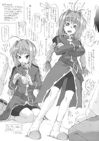 (C80) [Shirando (Shiran Takashi)] Vita Mousou Nikki (Mahou Shoujo Lyrical Nanoha)