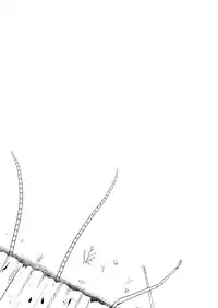 [Ryona's Station (YOSHITORA)] Brain Eater Stage 1 [Chinese] [贝尔西行寺个人汉化]