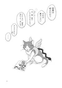 (SC57) [Singleton (Azuma Yuki)] fallen angel (Chuunibyou Demo Koi ga Shitai!)