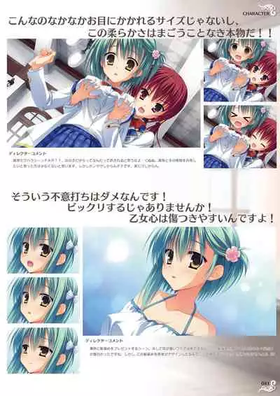 NobleWorks Official Visual Fanbook