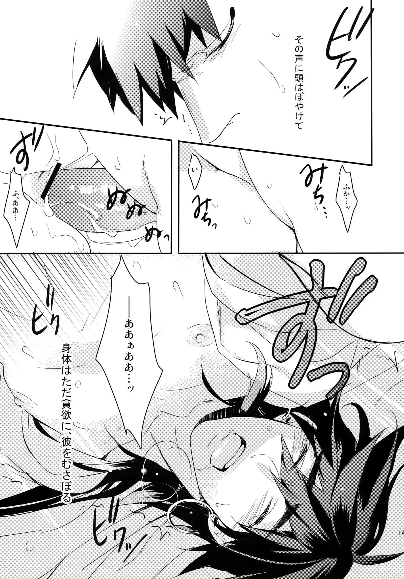 PureSlider. Sairoku 2011 - 2012