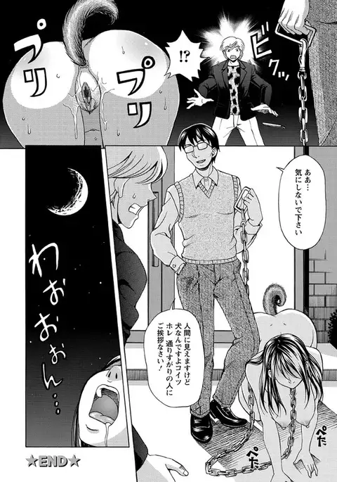 Mesuinu Catalog Choukyou Inpu