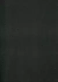 [Chameleon Can-D] Another (Durarara!!)