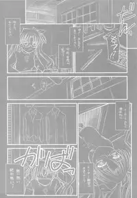 (C75)[Yakan Hikou (Inoue Tommy)] PP2+ (Fate)