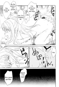 (C65) [Aion (Amou Mari)] Random Ni Saku Nobe No Hana Ni | The Random Blooming of Flowers in the Field (Full Metal Alchemist) [English] [HMedia]