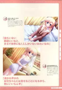 Canvas2 ～茜色のパレット～ ビジュアルファンブック