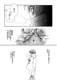 [Nawako] Different View