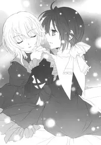 (C80) [Pyonpyororin (Akoko.)] partner (Seikon no Qwaser)