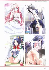 Sakura Sakura Visual Fan Book