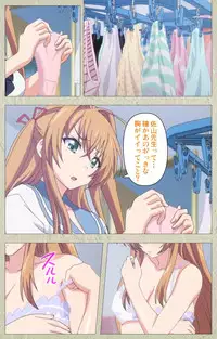 [Goban] Chichiiro Toiki Complete Ban