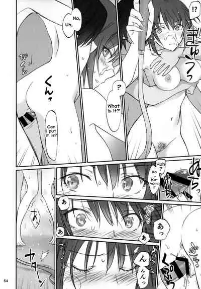 Hitagi Family Kouhen