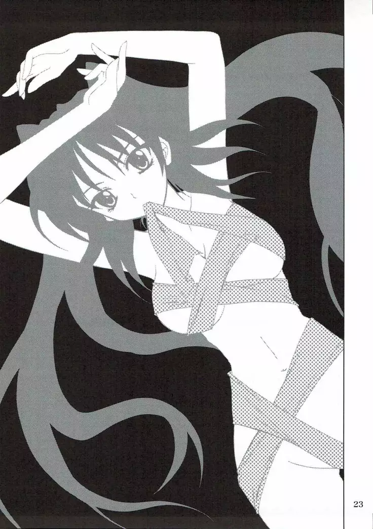 Abareneko no Shitsukekata 2