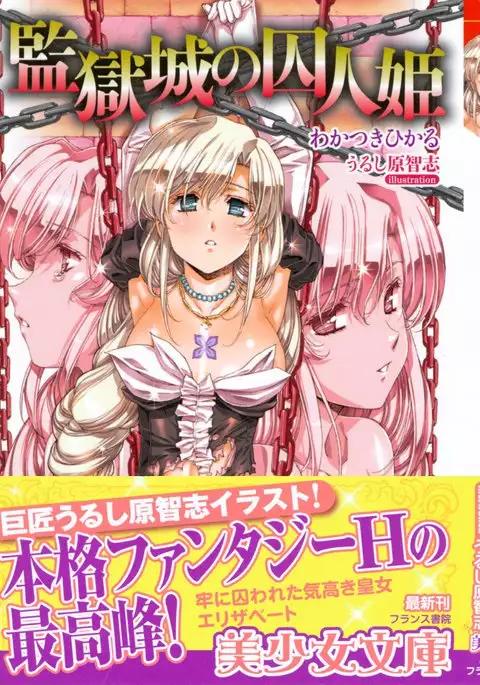 監獄城の囚人姫