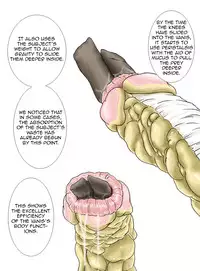 [Kasetsu Shirokuma (Yoi)] P045-02 Vanis Report [English] [CrayZayJay]