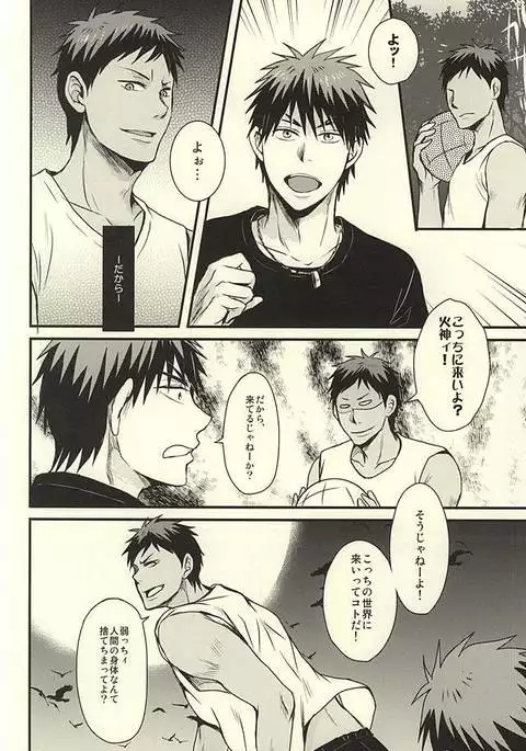 coyote,colored darkness